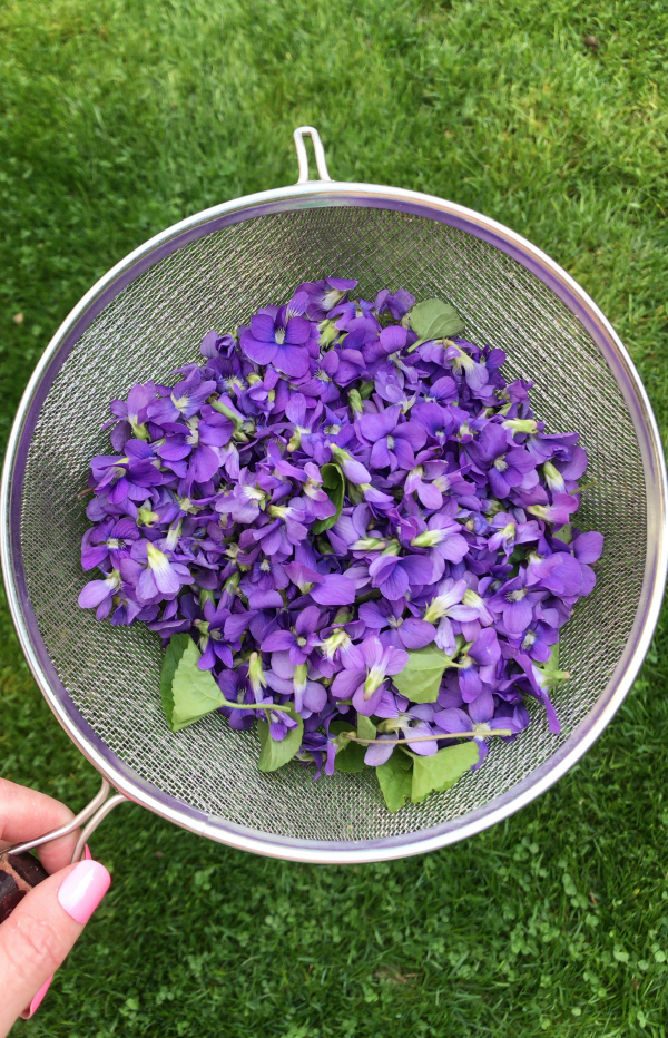 Violet and Dandelion Lemonade Recipe Primally Inspired