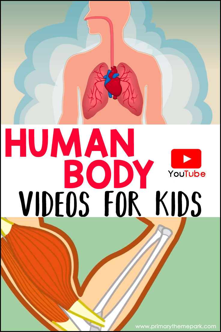 Human Body Videos for Kids Primary Theme Park