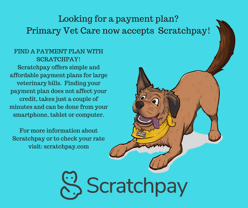 Primary Veterinary Care Gretna, LA 70053 > Home