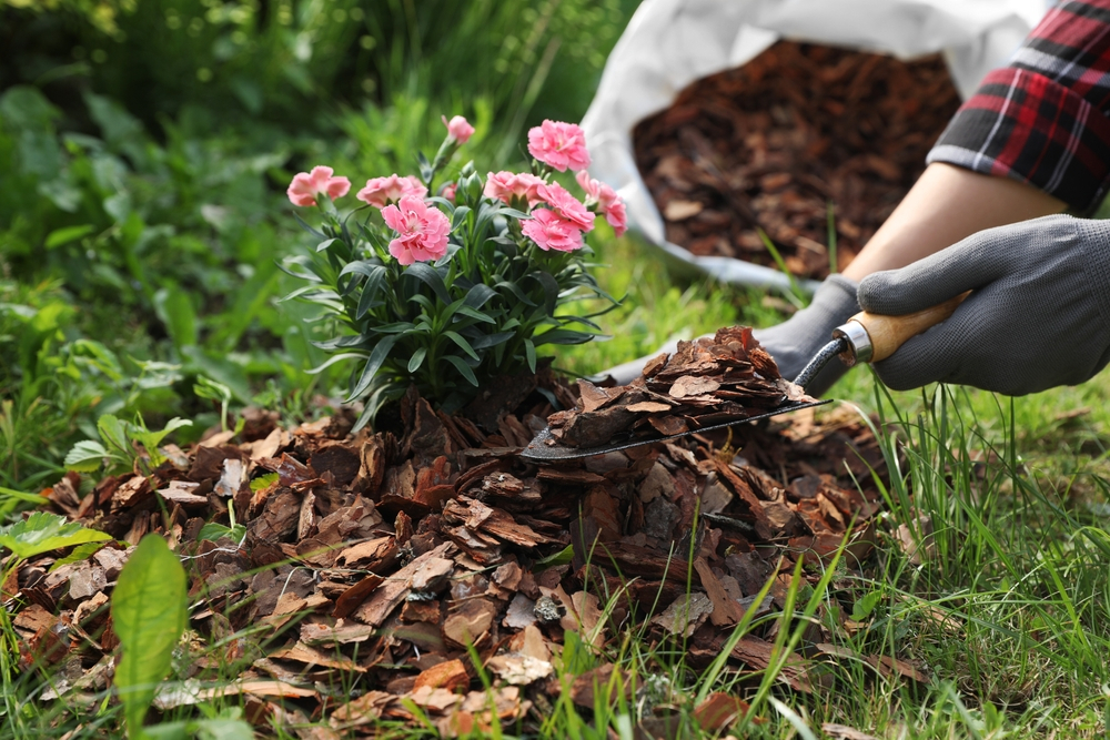 Bagged Mulch A Gardener’s Guide to Lawn Mulching & Beyond