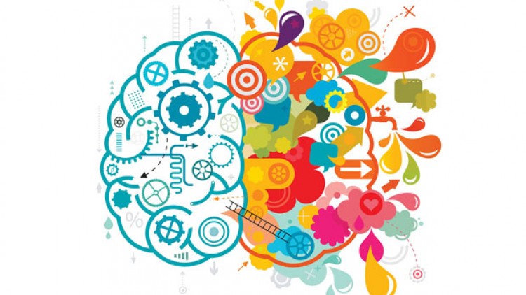 Etapas del desarrollo cognitivo Primera Edición