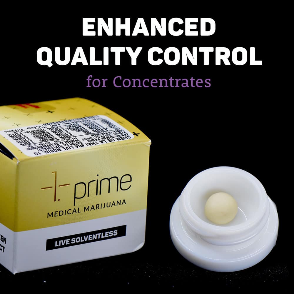 Extraction Explorer Introducing prime Rosin