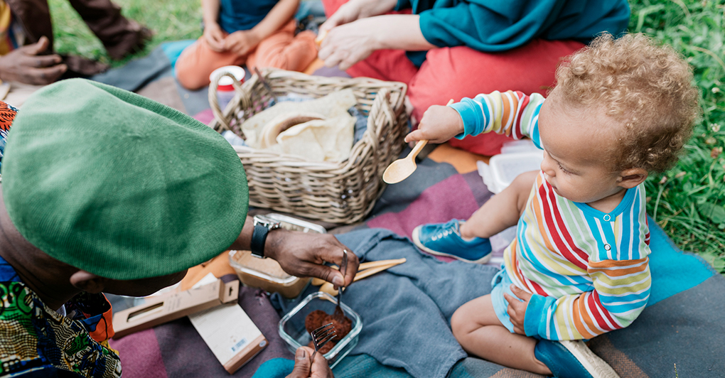 How to Plan the Perfect Family Picnic Primrose Schools