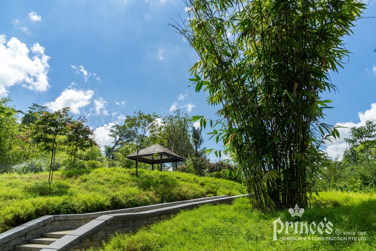 1 Garden & Landscaping Maintenance Services in Singapore