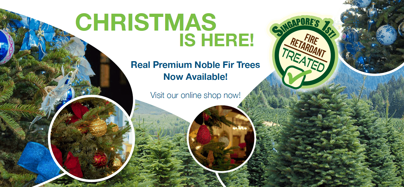 Best Landscaping Singapore Prince’s Landscape