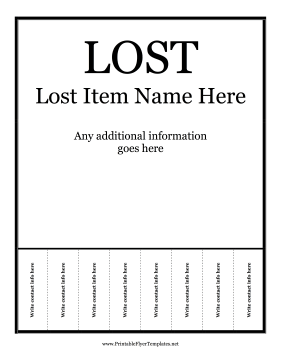 Lost Flyer