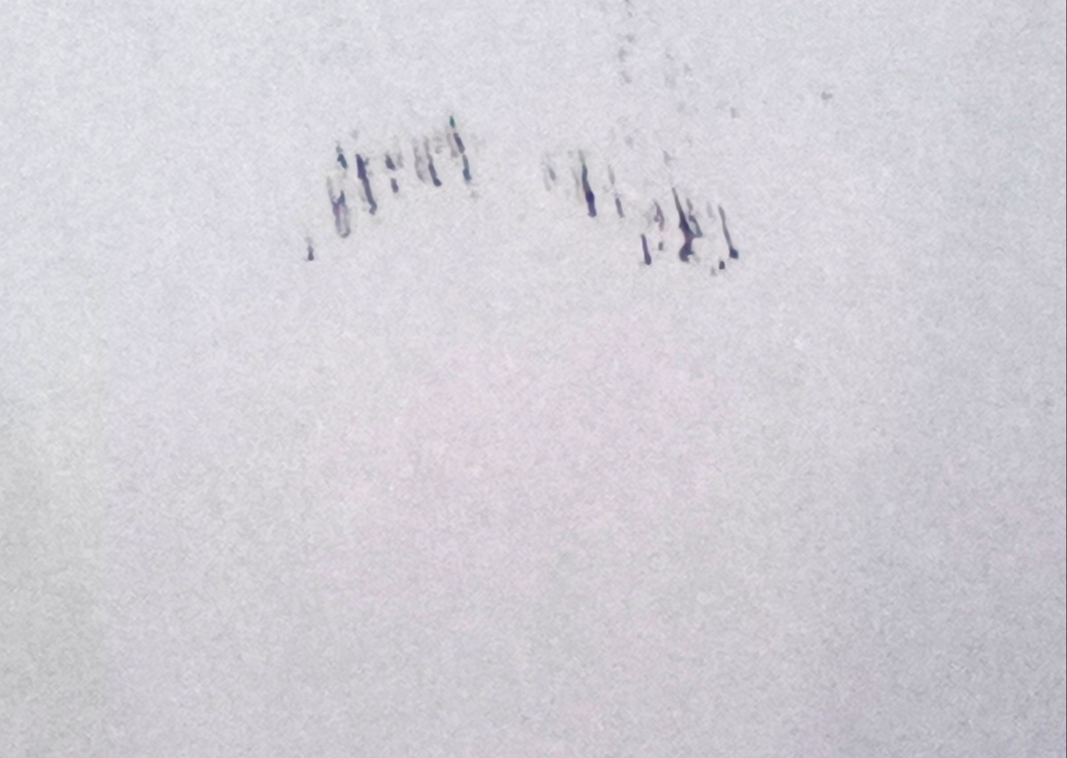 Ink smudge on backside of paper Canon G2010 PrinterKnowledge Laser