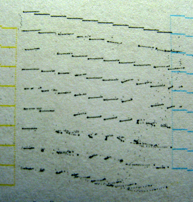 "smeared" nozzle check PrinterKnowledge Laser, 3D, Inkjet Printer Help