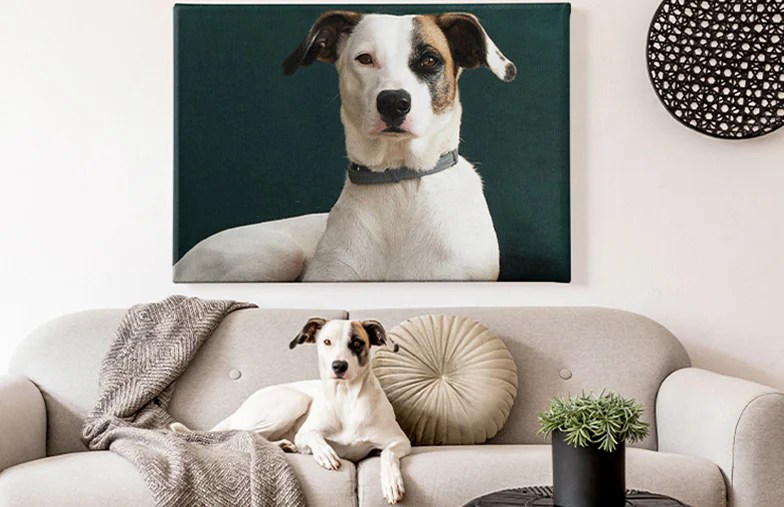 Pet Canvas Prints Perfect For PetLovers Custom Wall Art
