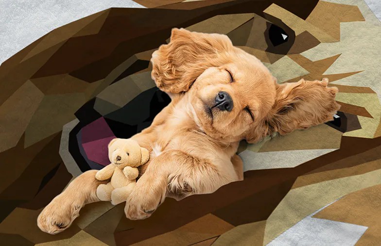 Gifts for DogLovers Personalised Blankets