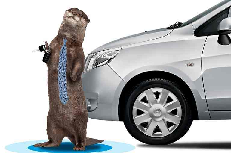 Prisma Rent A Car Nicaragua Alquiler de Carros Nicaragua