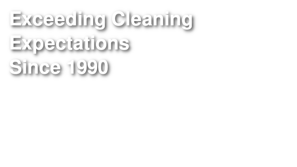 Eco Friendly Carpet Cleaning Green Carpet Cleaning Dry Carpet