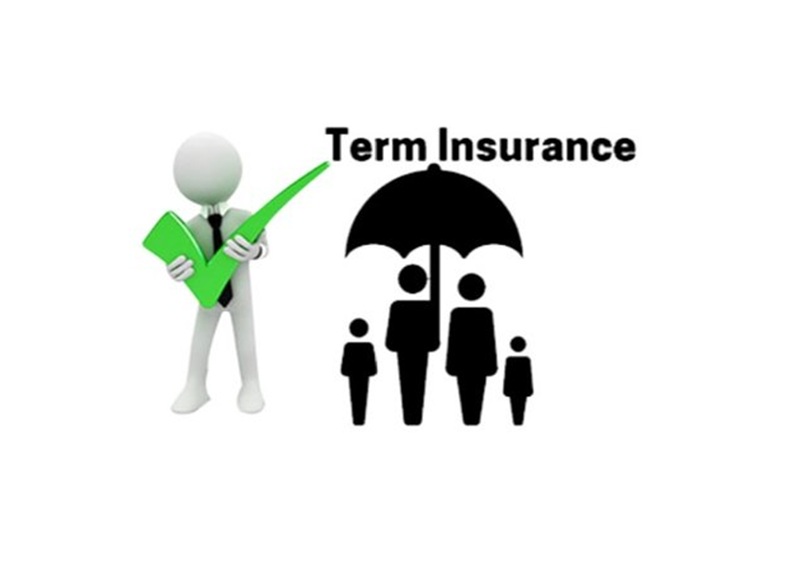 Five Myths Related To Term Insurance Sector Prix Constantin