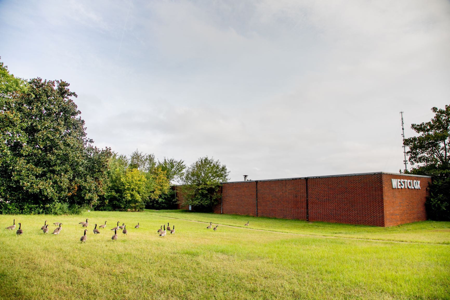 General Time Development Wayfair to Athens, Smith