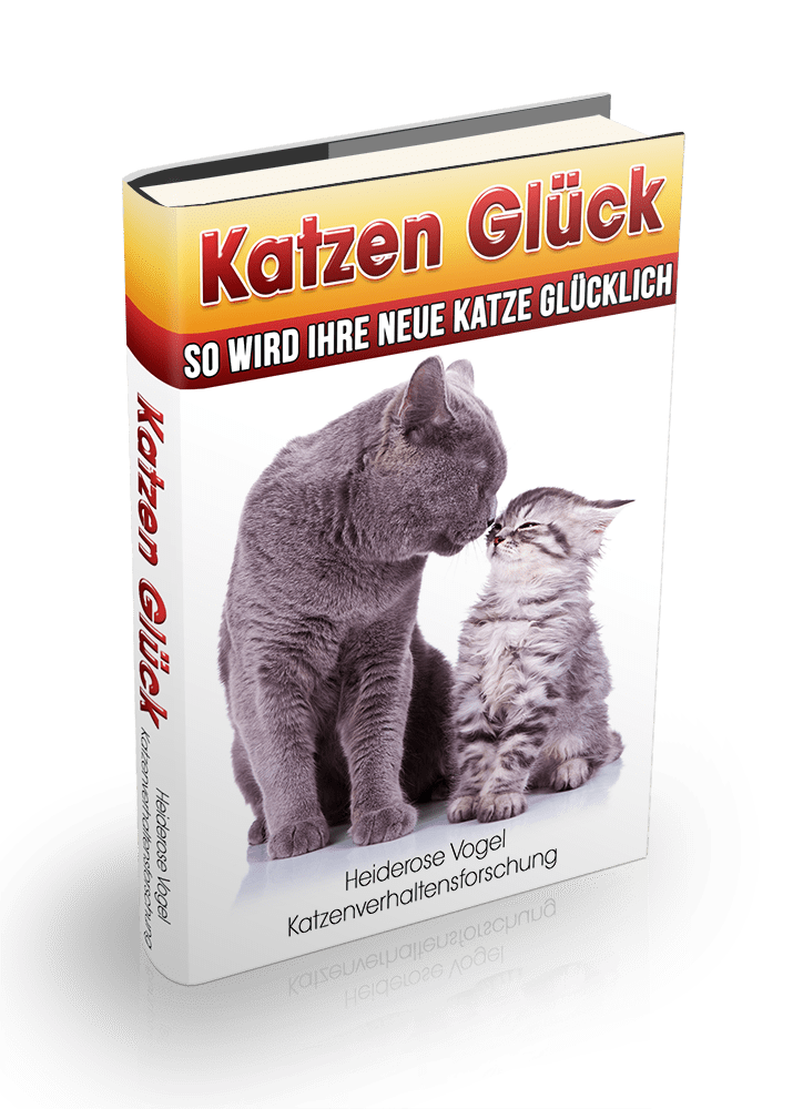 Pressefach Heidis Welt der Katze Pressemappe prmaximus.de