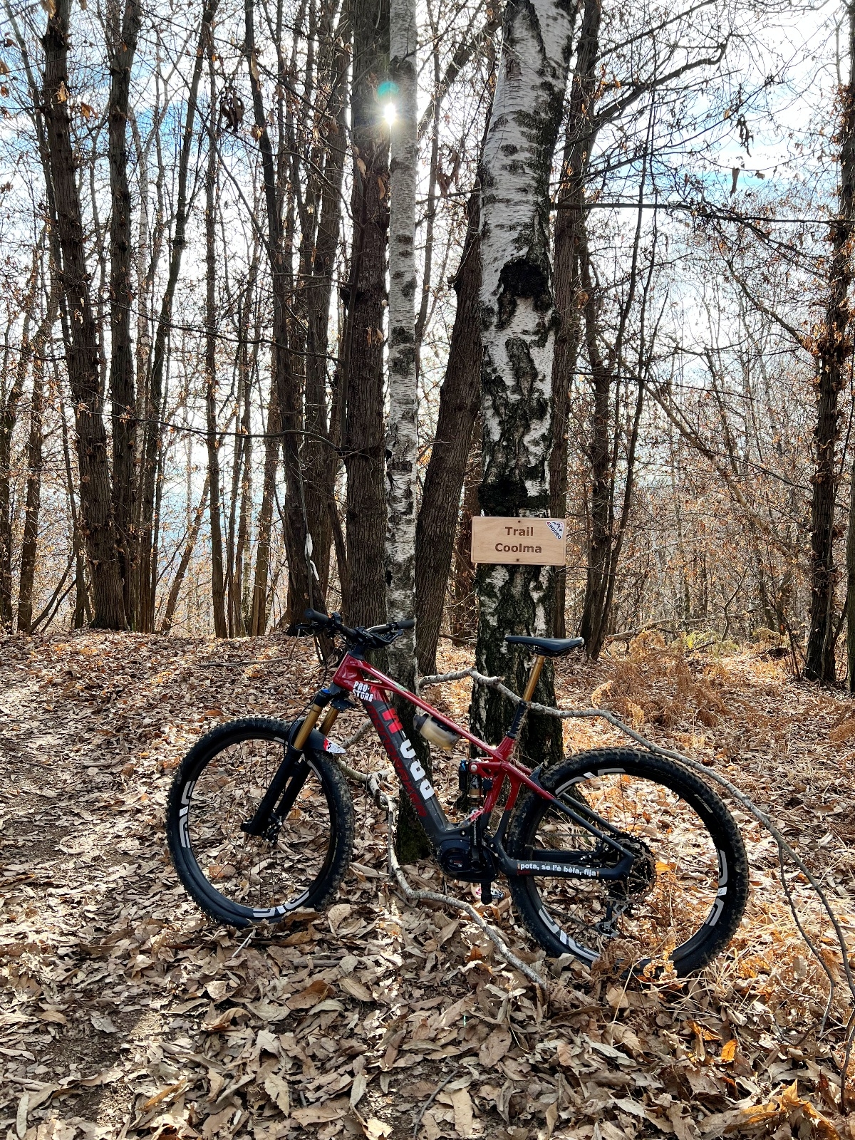 Pro-M – MTB \u0026 Road bikes Blog Archivi - Pro-M - MTB \u0026 road bikes