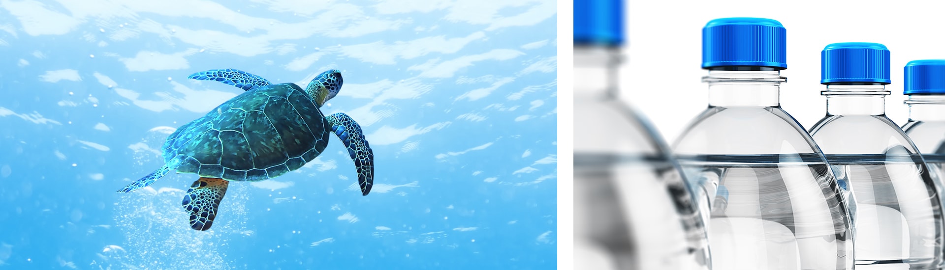 PET Strapping and PP Strapping manufacturers South Africa PRO10 STRAP™