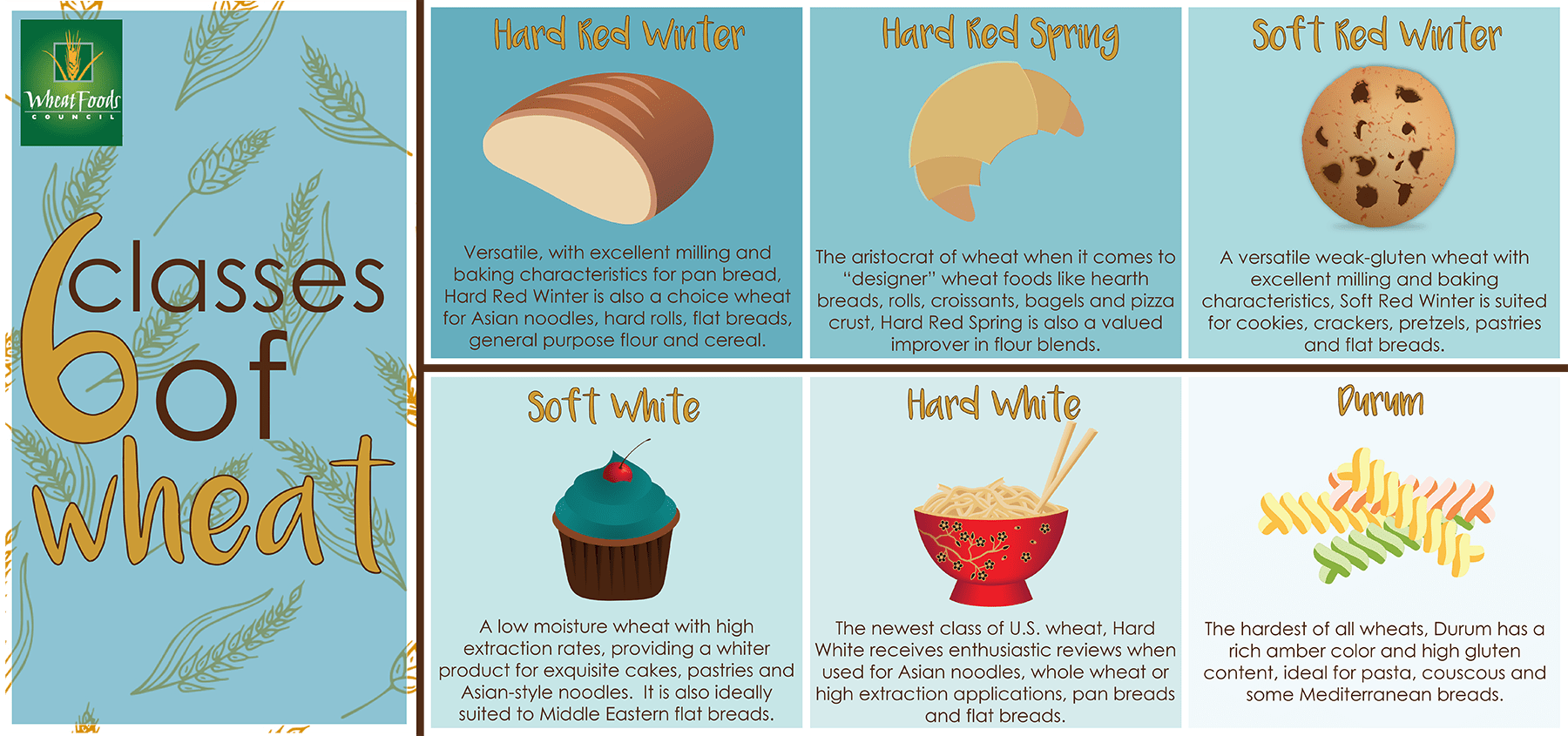 6 Classes of Wheat Infographic ProAg