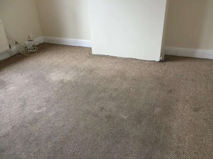 Pro Carpet Cleaning South East England's No.1 Cleaners