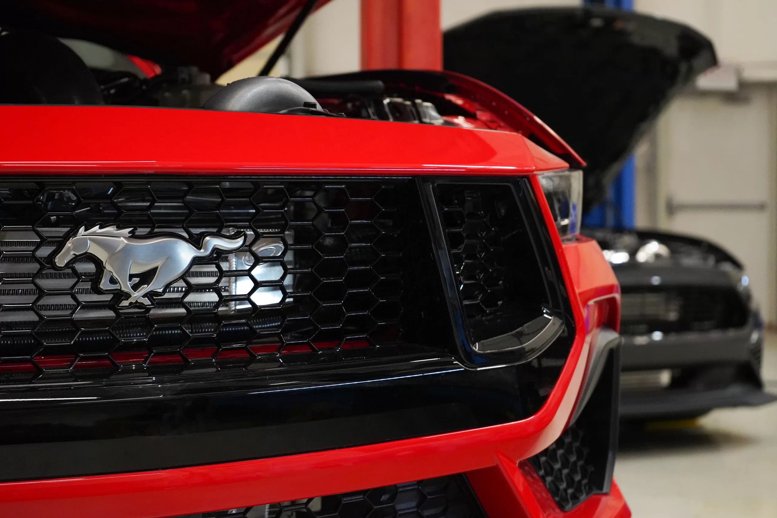 2024 Ford Mustang Supercharger Kits Coming Soon ProCharger Superchargers