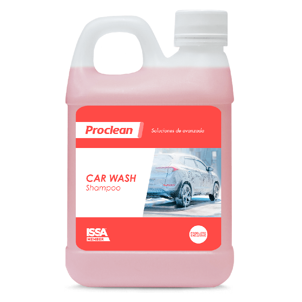 CAR WASH Proclean