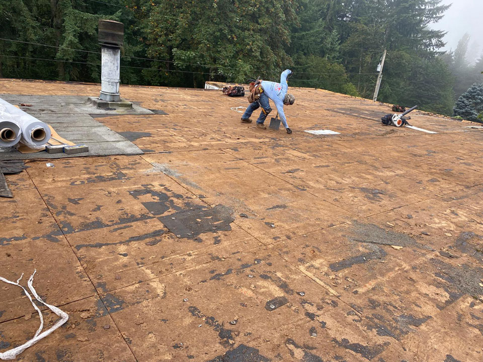 ProCover Roofing Home