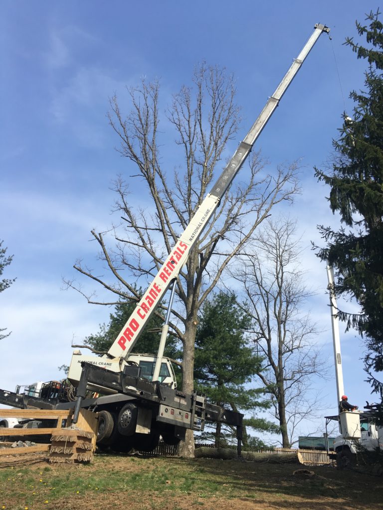 Fort Myers, FL Crane & Rigging Rental Services Pro Crane Rentals