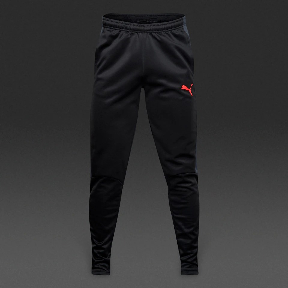 Puma evoTRG Training Pant 65534006 Puma Black/Ebony/Fiery Coral