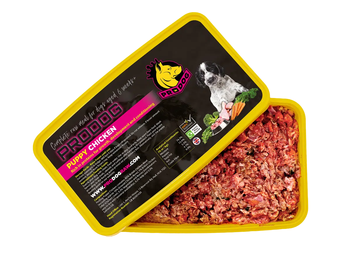 How Expensive Is Raw Dog Food
