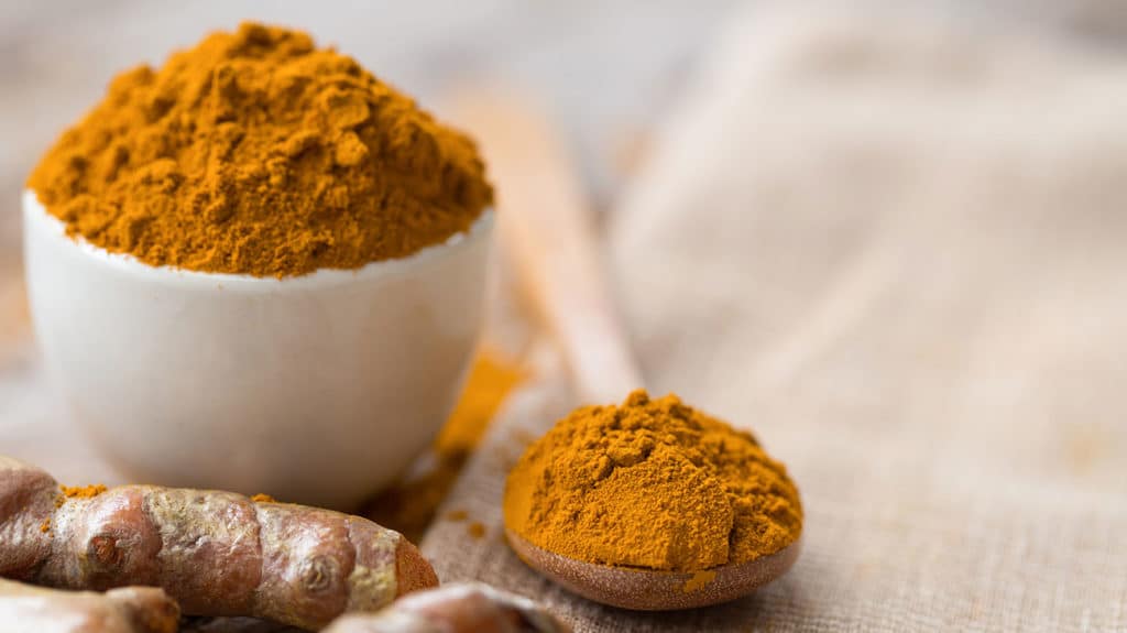 Turmeric for Dogs 7 Benefits & How Much To Use ProDog Raw