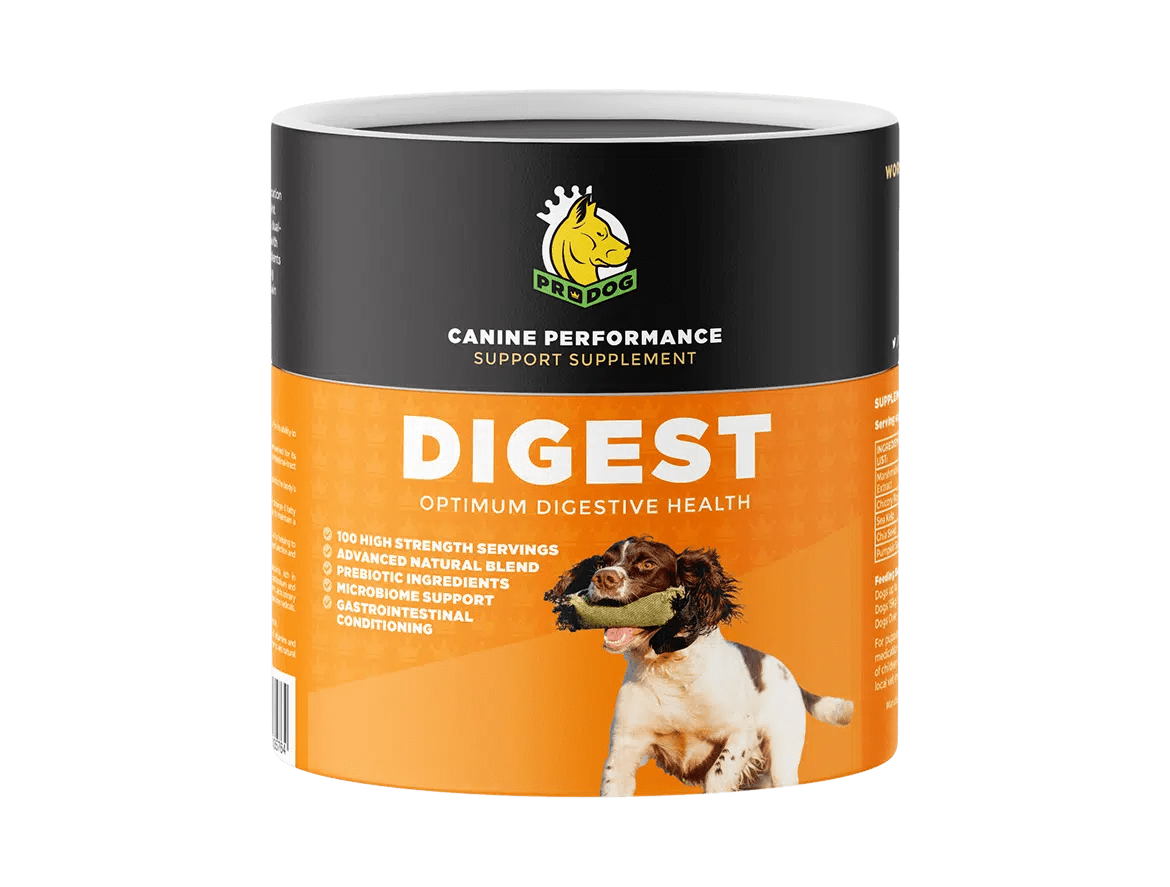Digestive & Gut Health Supplements For Dogs DIGEST