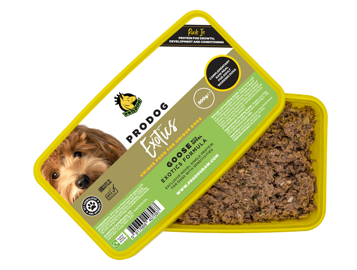 Goose Raw Dog Food Meal Buy Now ProDog Raw