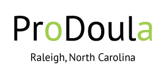 Labor Day Events In Raleigh 2023 2/04/2/05/2023 Labor Doula Training Raleigh, NC Doula Training