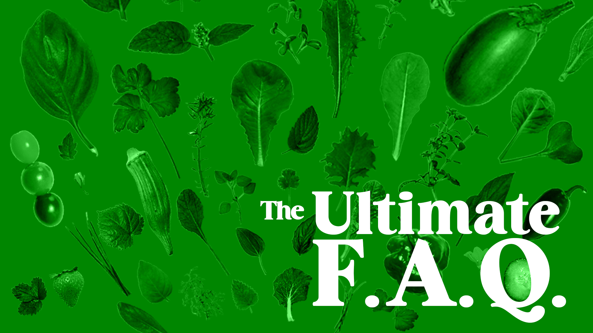 The Ultimate FAQ Produce'd