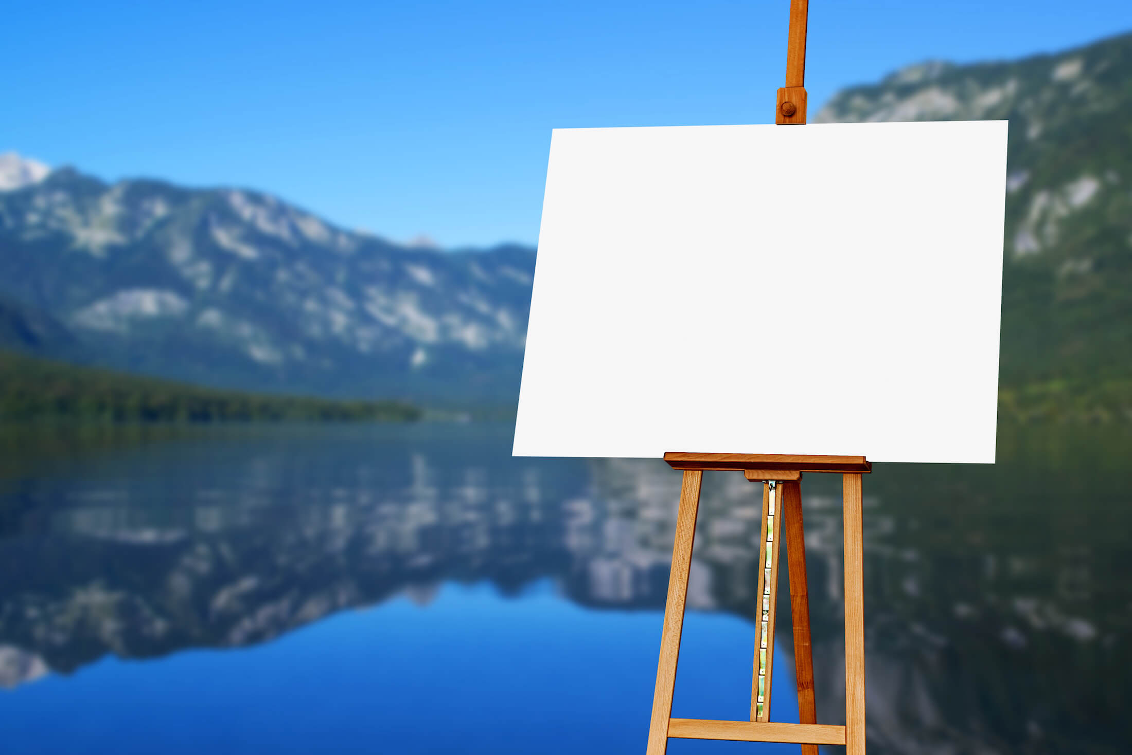 What Is The Meaning Of Canvas Paper at Rosemary Spears blog