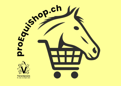 Pferde verstehen mit Ostwind PferdeAusbildung proEqui Shop