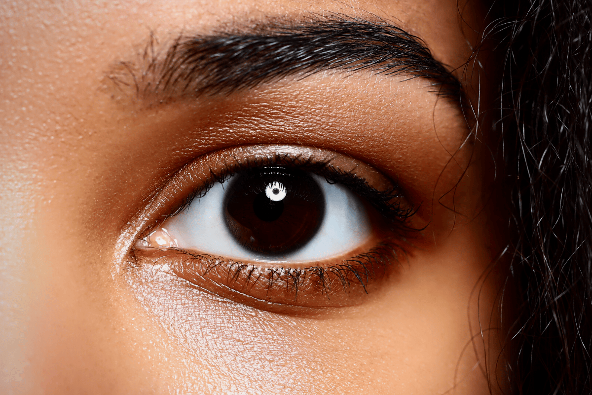 How the Eyes Work - Professional Eye Care