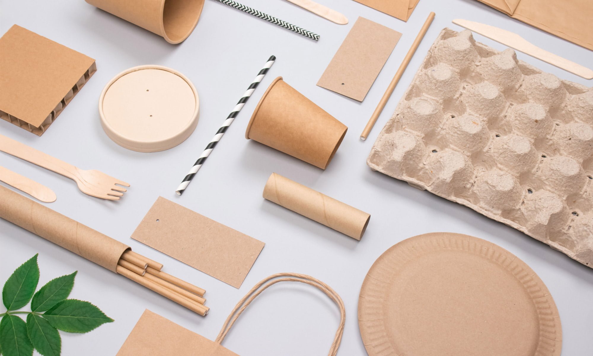 Packaging up a more sustainable future in food manufacturing Prof