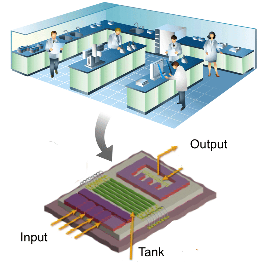 Lab on a chip ¿Se puede guardar información en el ADN? 2024
