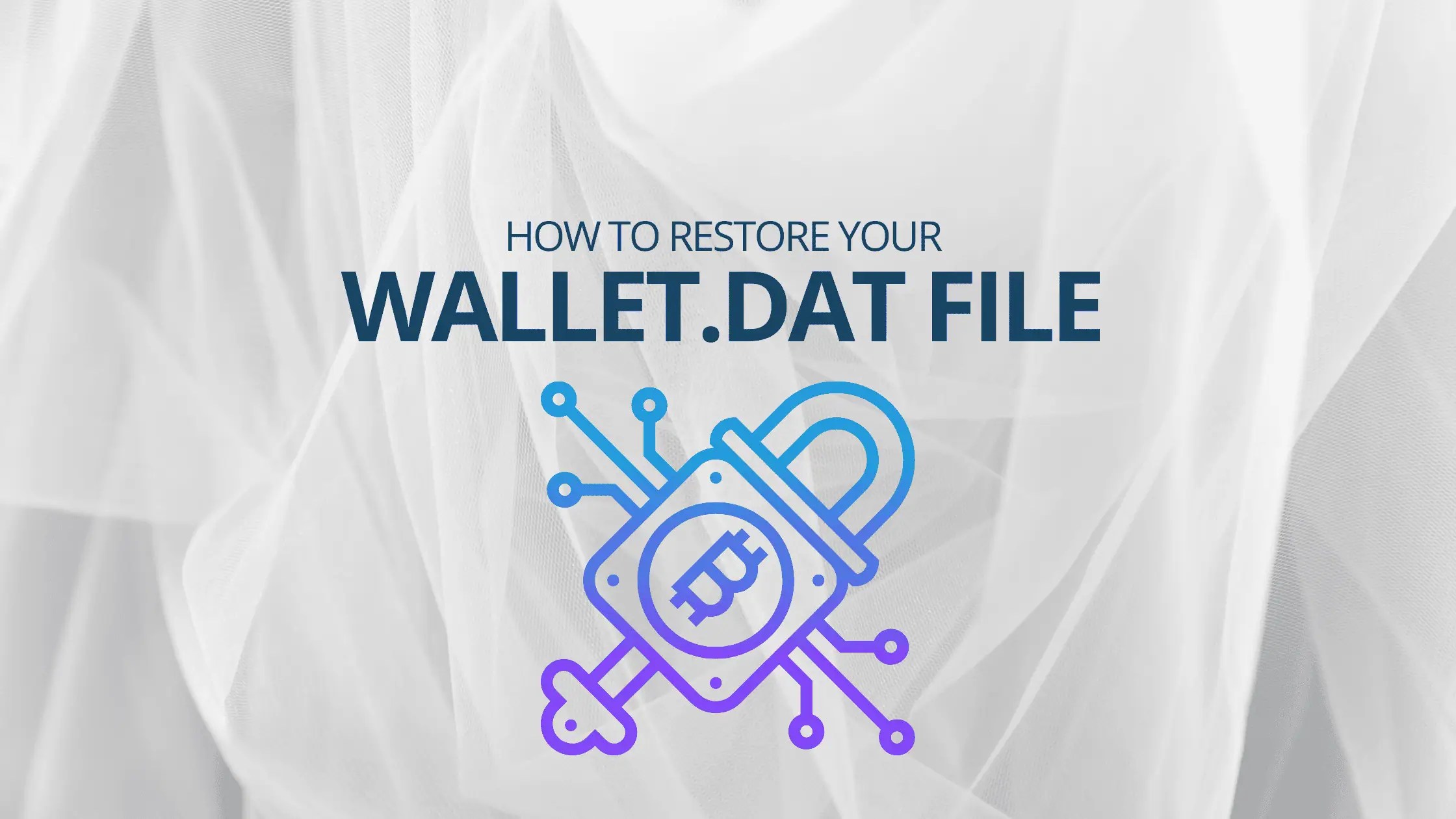 How to Restore Your Wallet.dat File Professional Crypto Recovery