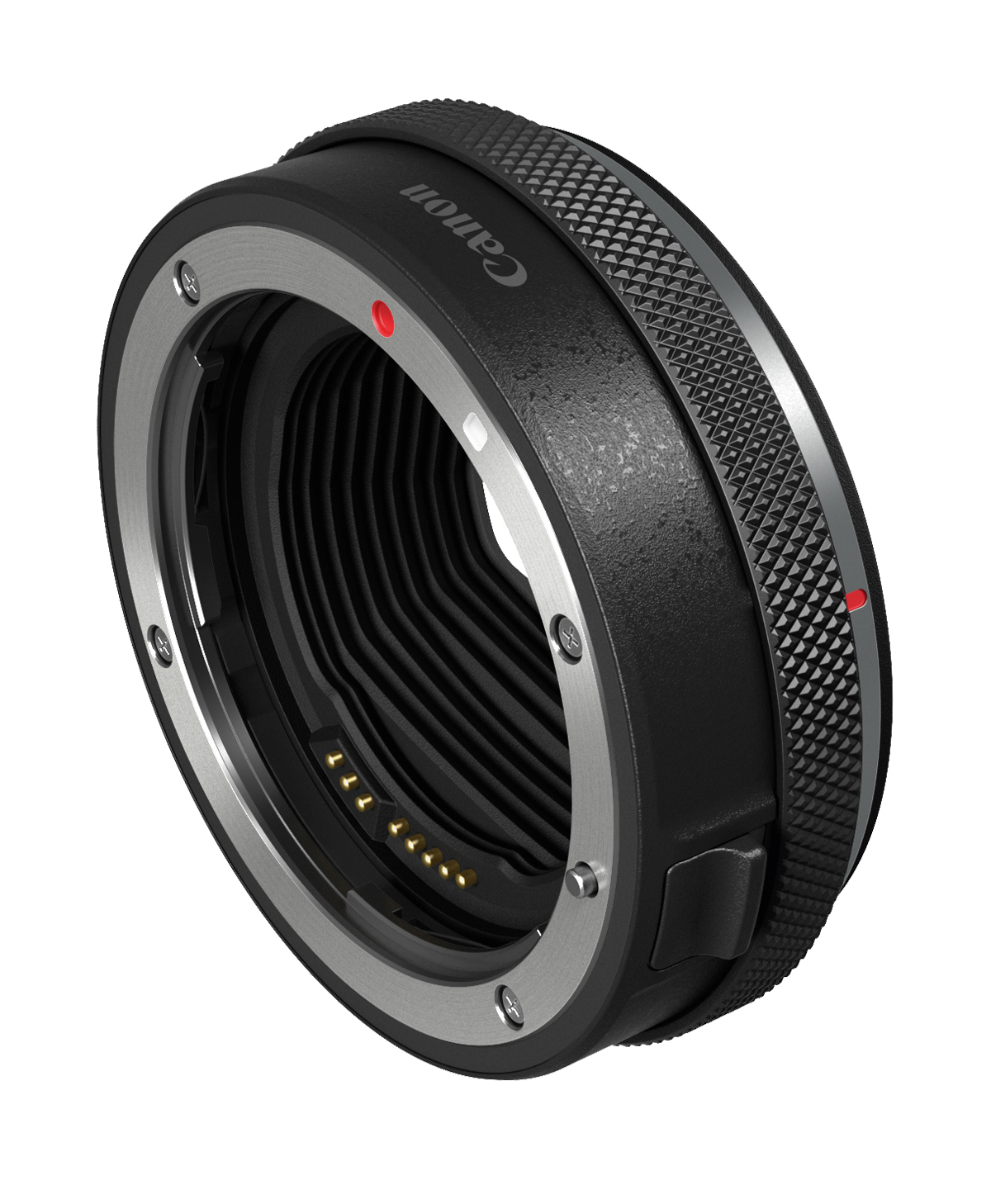 Canon EOS R Flexibles System ProfiFoto