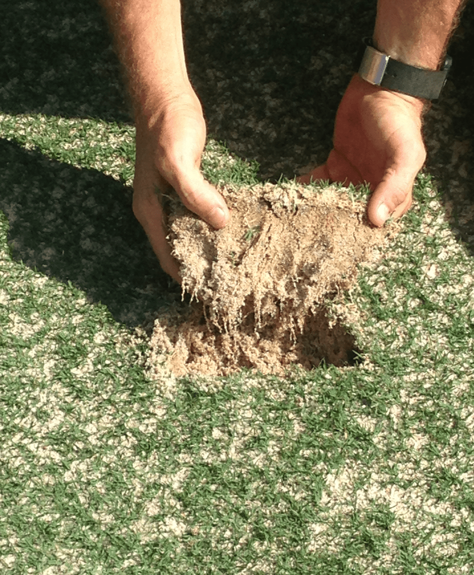 Profile® Porous Ceramic Soil Amendments Called to Action