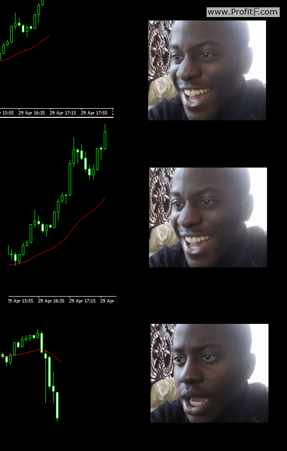Forex Humor about StopLoss Funny Pics.