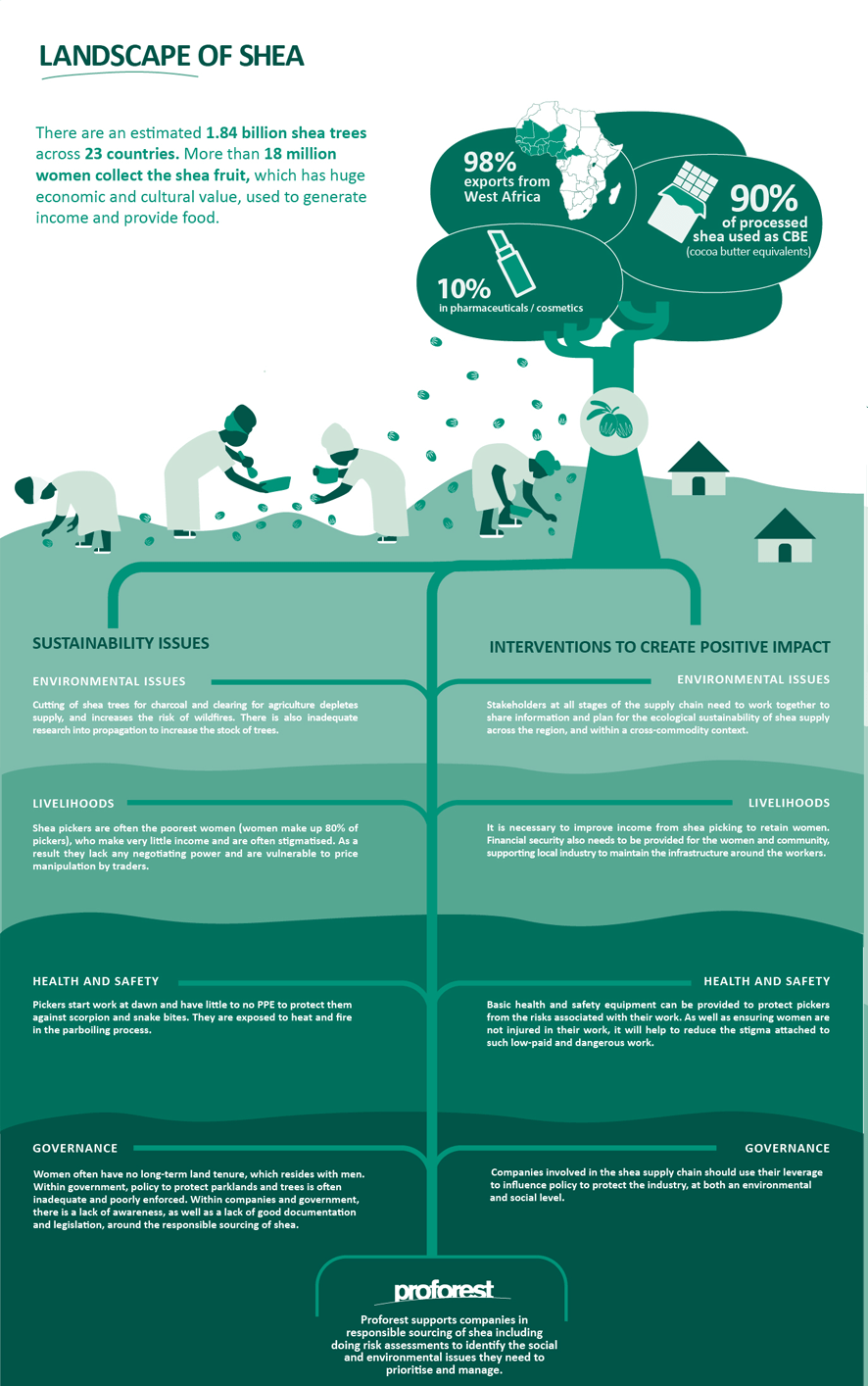 Infographics Proforest