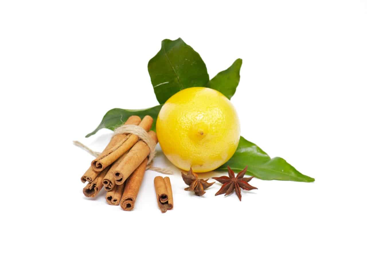 5 Lemon Tree Benefits ProGardenTips