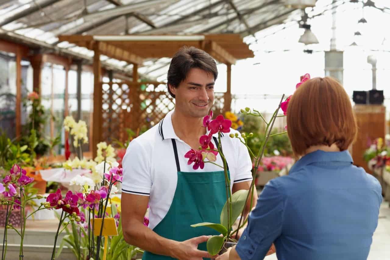 Are Orchids Poisonous? ProGardenTips