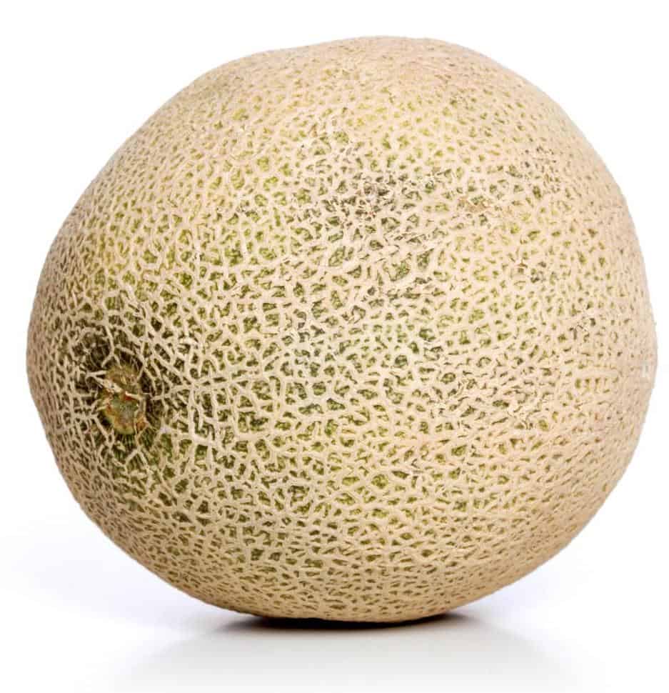 When Are (Honeydew) Melons In Season? ProGardenTips