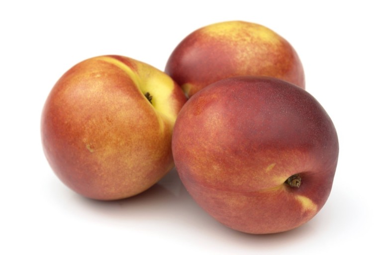 When Are Nectarines In Season? ProGardenTips