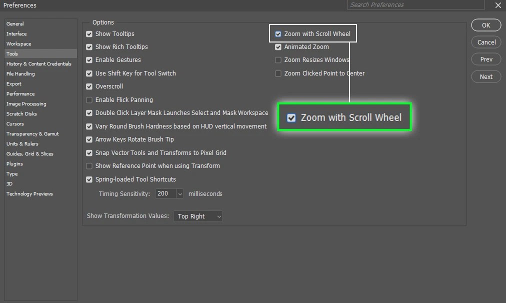 Zoom Guide Using 6 Different Ways (In and Out)