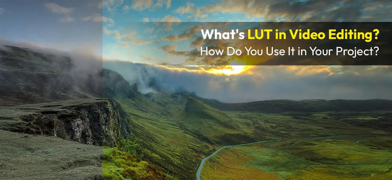 What is a LUT? How to Use LUTs for Video Color Grading PGBS